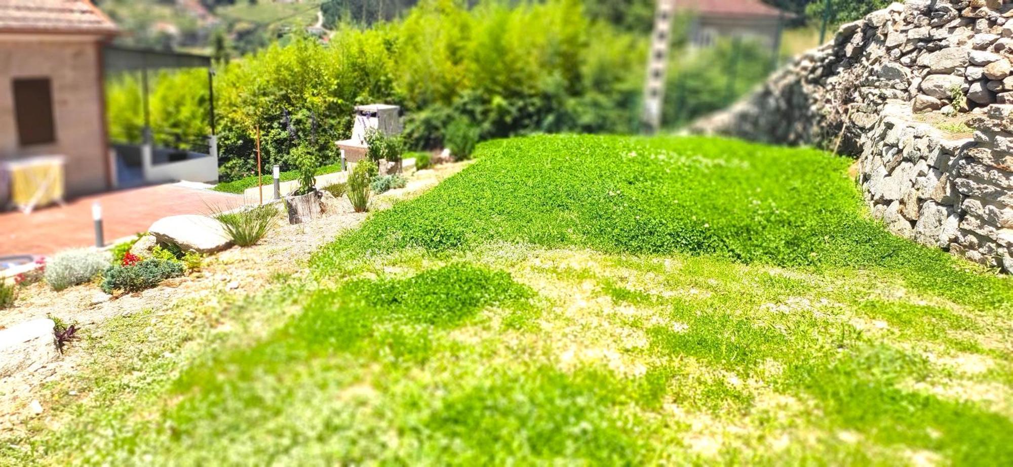 Casa A Mi Vera Covelo  Dış mekan fotoğraf