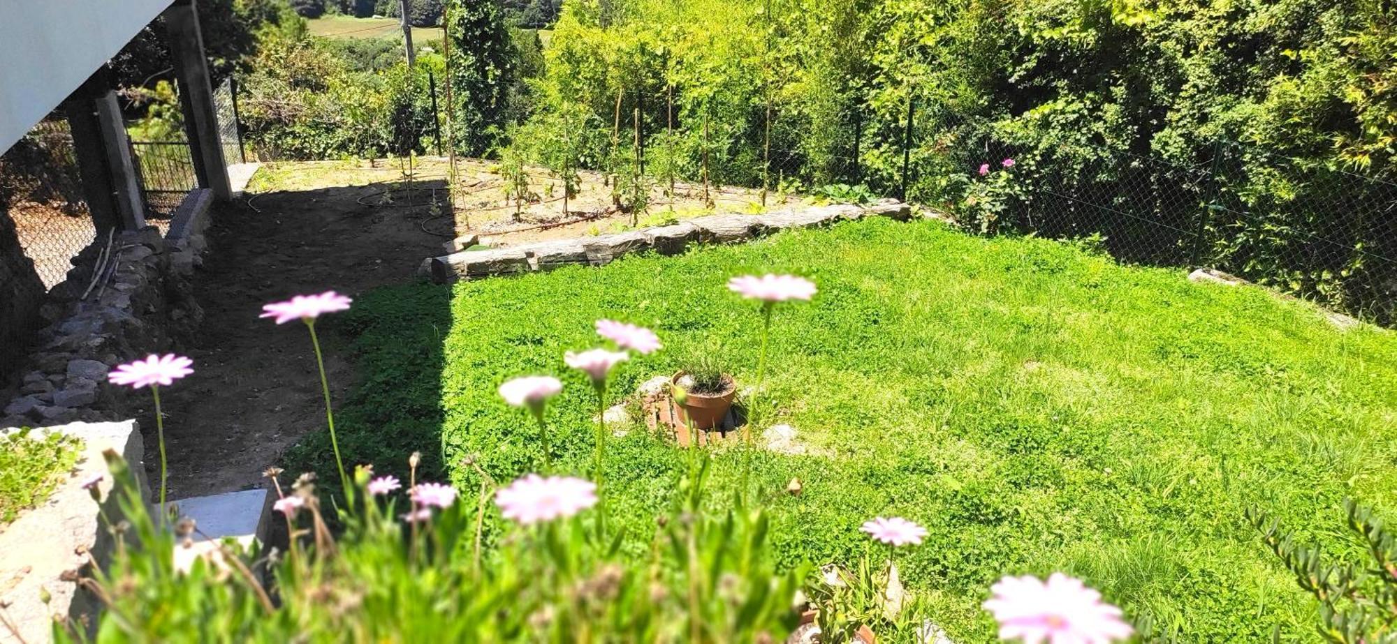 Casa A Mi Vera Covelo  Dış mekan fotoğraf